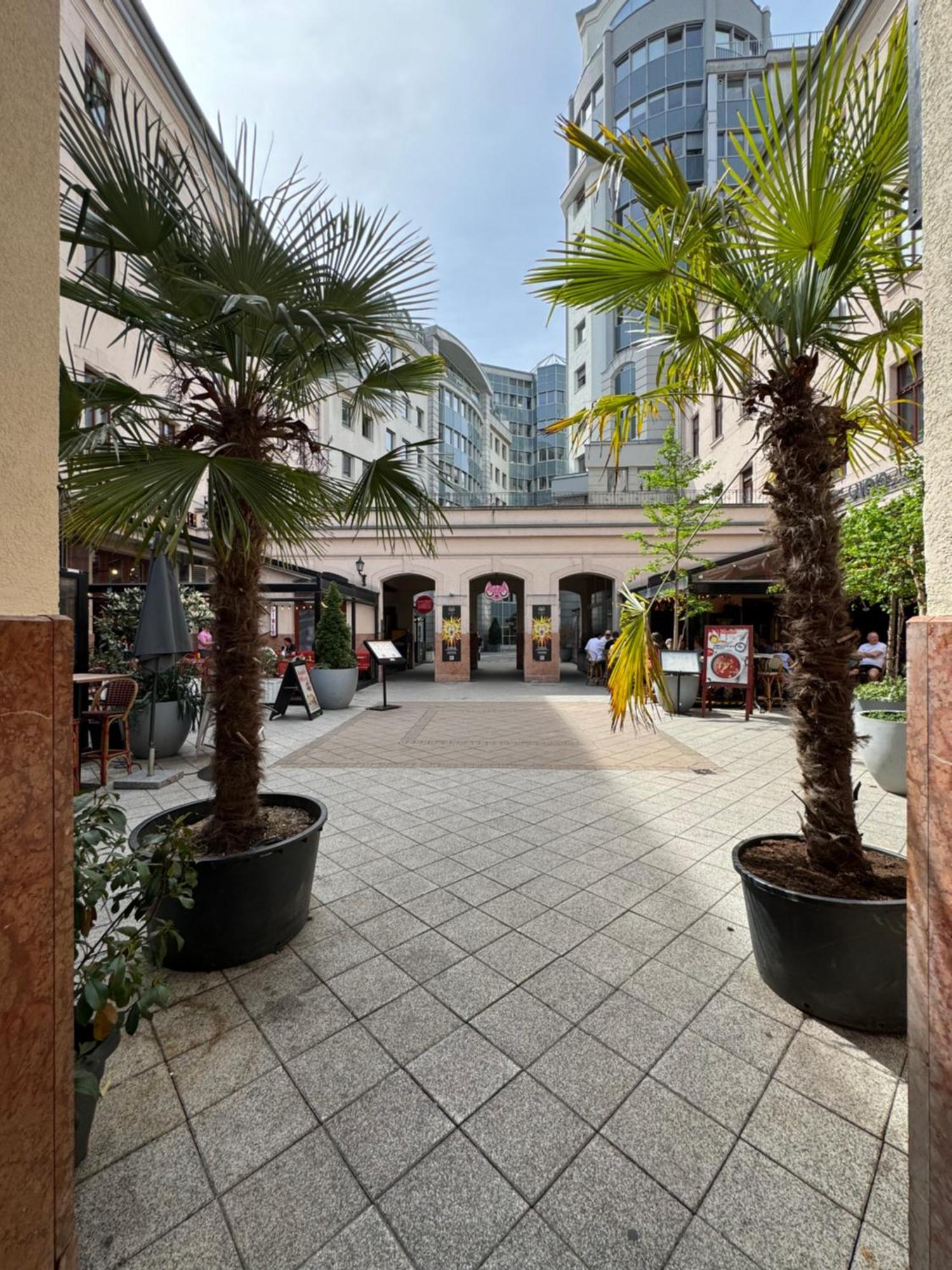בודפשט Novo Central Apartments חדר תמונה